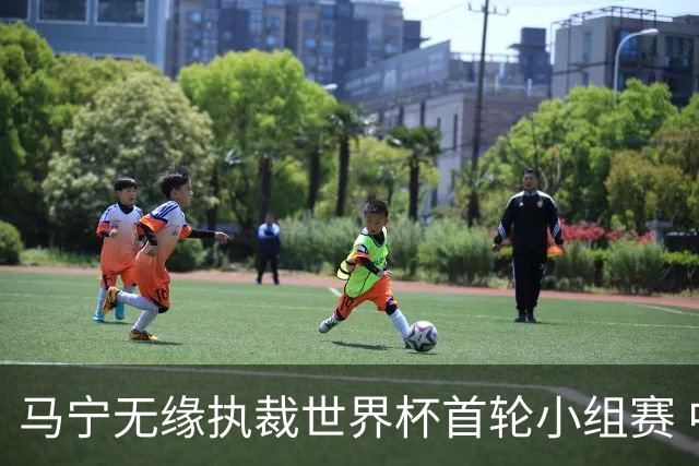 马宁无缘执裁世界杯首轮小组赛 中国裁判三人组仅傅明亮相